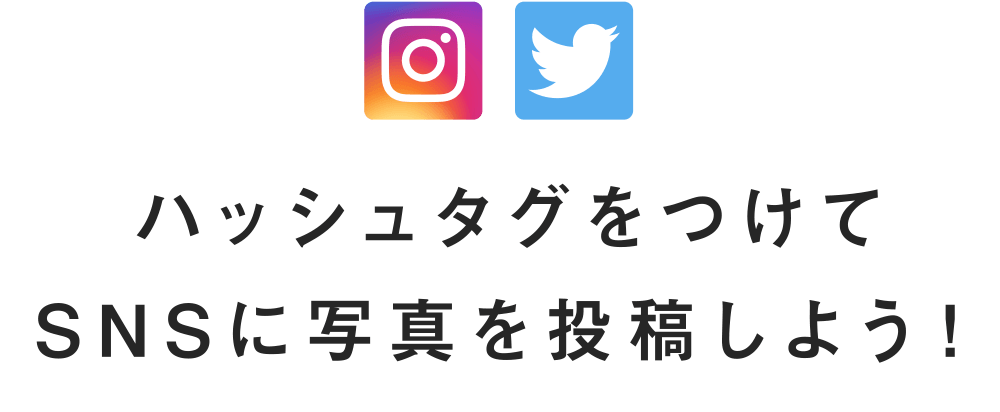 ハッシュタグをつけてSNSに写真を投稿しよう！