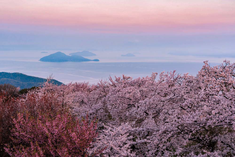 紫雲出山