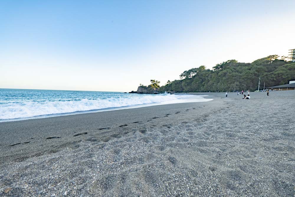 桂浜
