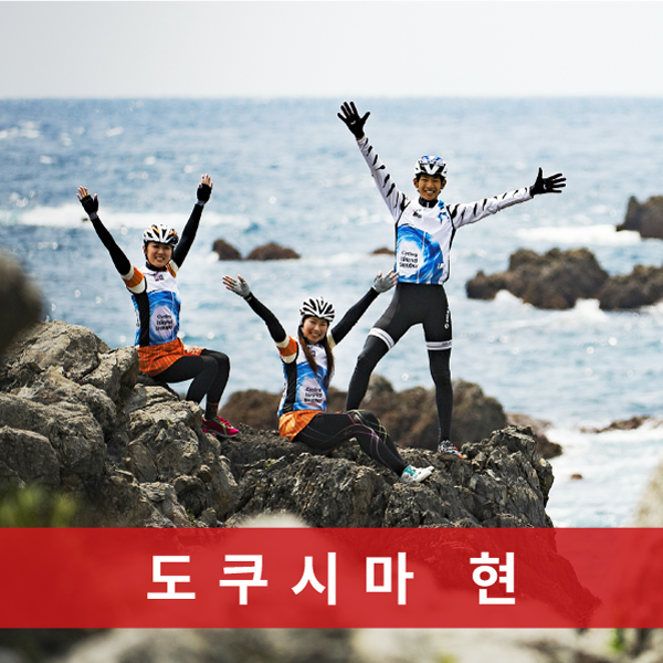 도쿠시마 현